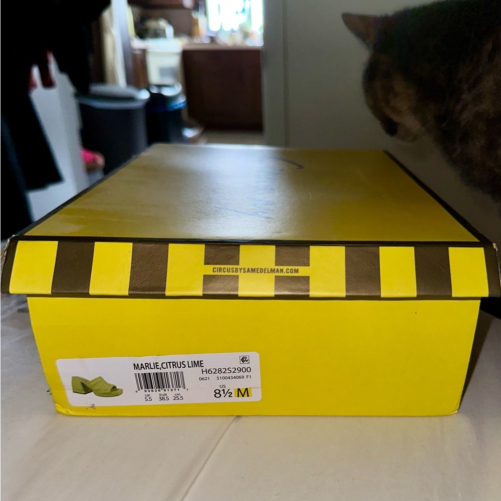 8.5 Circus by Sam Edelman Marlie mule in Citrus Lime Green Block Heel Sandals - Picture 5 of 10